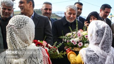 صالحی امیری: نوروز، سرمایه‌ای برای تعاملات بین‌المللی است