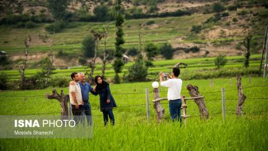 افزایش کمی و کیفی خدمات نوروزی به مسافران در مازندران