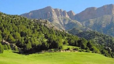 پارک ملی تندوره گنجینه‌ای طبیعی در ایران