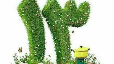 باور به نحسی عددی که درست نیست