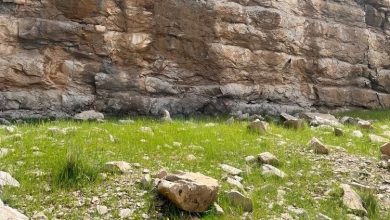 روایتی از کشف مهم منبع تامین سنگ کاخ‌های هخامنشی