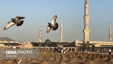 آخرین وضعیت قبرستان بقیع + ویدئو