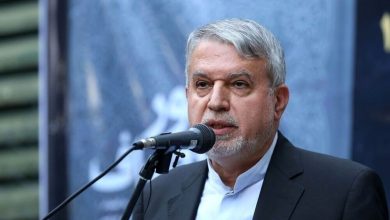 زبان سعدی ابزار دیپلماسی فرهنگی است / ایرانیان همواره صلح‌طلب بوده‌اند