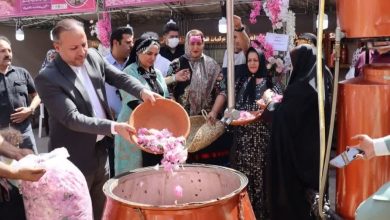 آیین گلاب‌گیری کاشان جهانی شد