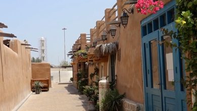 ویدیو/ کیش، مروارید خلیج همیشهِ فارس