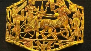 گنجینه فرعون به موزه جدید رسید