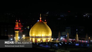 ثبت بیش از ۵۲ هزار سفر به مشهد و نجف در یک هفته