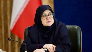 مهاجرانی: اگر اقدامات حفاظتی موزه‌ها ناکافی است، مقصر ماییم