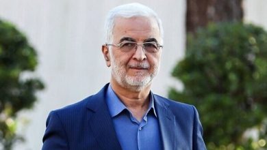 مومنی:هویت تاریخی و دینی ایران سرمایه‌ای افتخارآمیز است