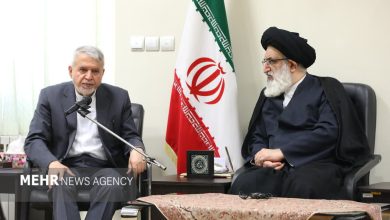 صالحی امیری: ملت ایران در کنار انقلاب اسلامی ایستاد