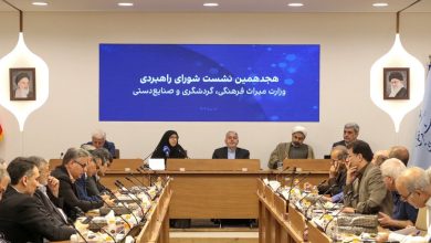 صالحی امیری: همه استان‌ها غیر از گیلان درگیر پدیده فرونشست هستند