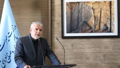 صالحی امیری: منعی برای ورود گردشگران خارجی به ایران نداریم