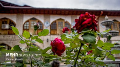 تمرکز بر بافت تاریخی تهران همزمان با هفته گردشگری