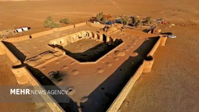 نگهبان خاموش کویر و چالشهای حفاظت از آن نگهبان خاموش کویر و چالشهای حفاظت از آن