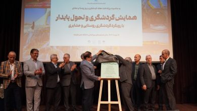 تیموری: پایداری گردشگری بدون نقش‌آفرینی دانشگاه‌ها ممکن نیست