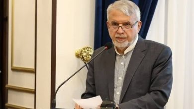 صالحی امیری: ۲۷ اختیار وزارت گردشگری به استانها تفویض شد صالحی امیری: ۲۷ اختیار وزارت گردشگری به استانها تفویض شد