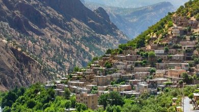 رشد آرام دیجیتال، تقویت اقتصاد محلی و ظهور نسل جدید میزبانان