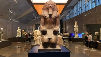 گنجینه دیده‌نشده فرعون رونمایی شد