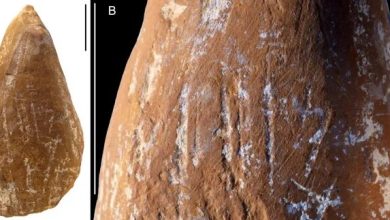 نئاندرتال‌ها مدادشمعی داشتند؟