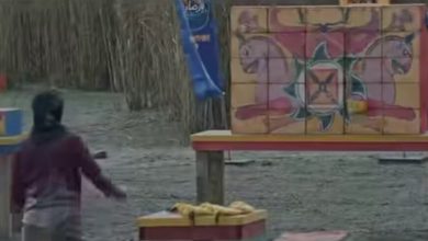 نمادهای تاریخی ایران؛ از پرتاب سنگ تا جشن رونمایی!