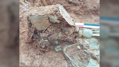 کشف گور زنی که با تاج دفن شد